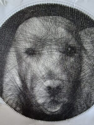 DIY Pakket Persoonlijke String-art