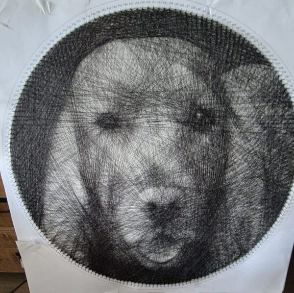 DIY Pakket Persoonlijke String-art